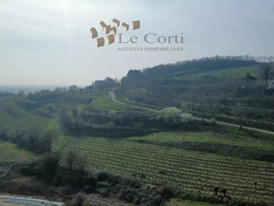 Immagine 2 di Casa indipendente in vendita  a Villaga