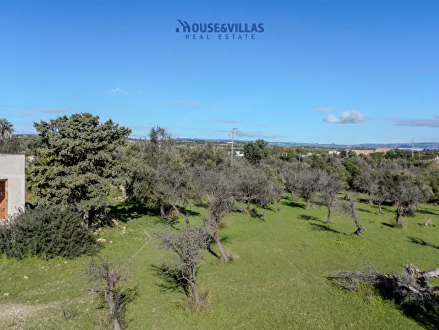 Immagine 11 di Villa in vendita  in contrada bimmisca a Noto