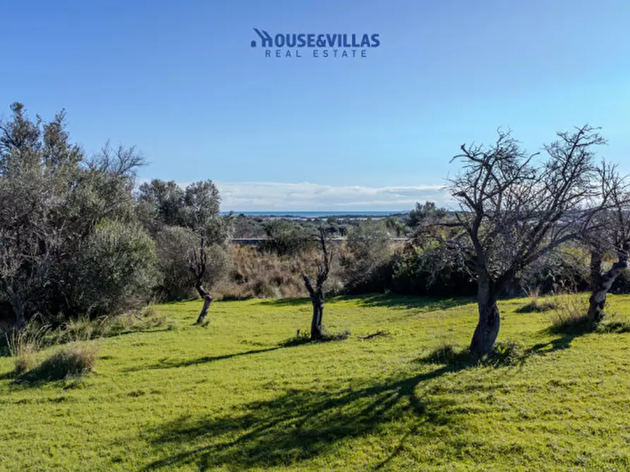 Immagine 14 di Villa in vendita  in contrada bimmisca a Noto
