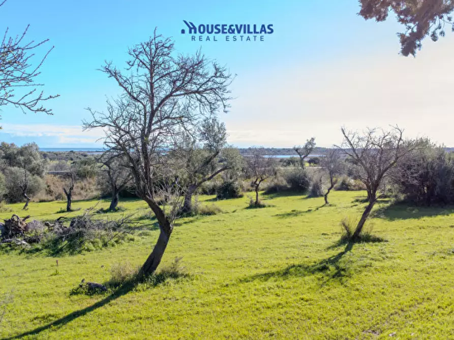 Immagine 15 di Villa in vendita  in contrada bimmisca a Noto