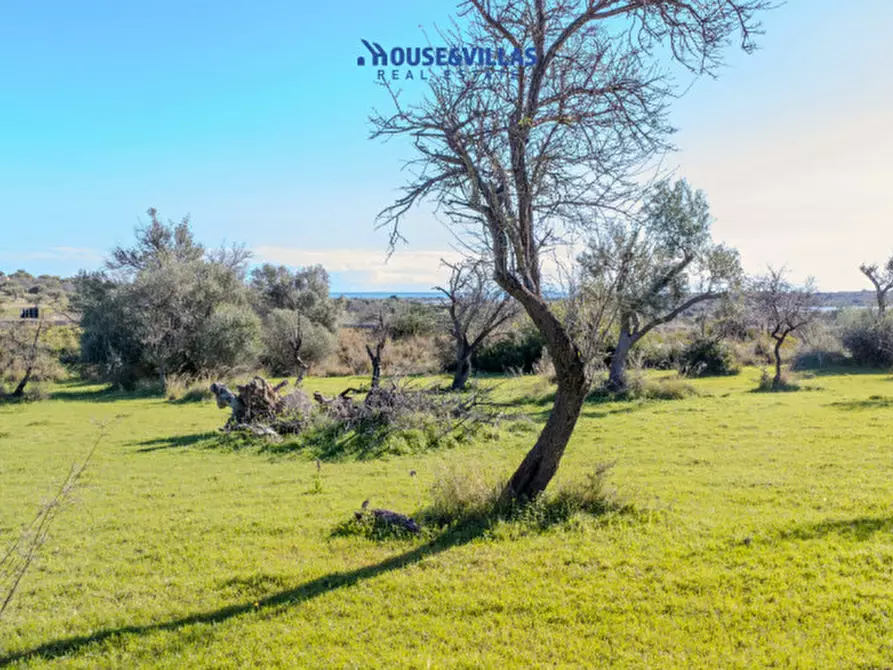 Immagine 16 di Villa in vendita  in contrada bimmisca a Noto