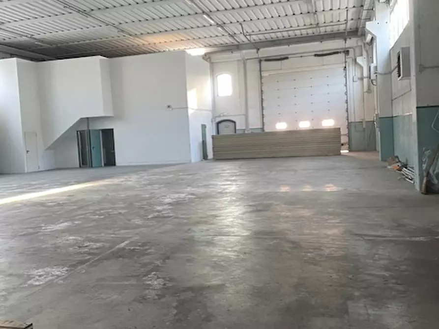 Immagine 12 di Capannone industriale in vendita  in via galilei a Codevigo