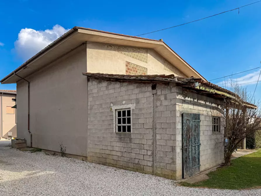 Immagine 4 di Casa indipendente in vendita  in Via Feltrina a Montebelluna