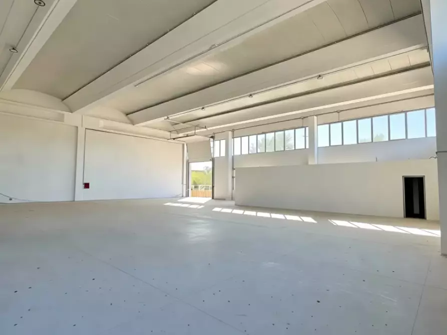 Immagine 2 di Capannone industriale in vendita  in Via Cesare Beccaria a San Martino Buon Albergo