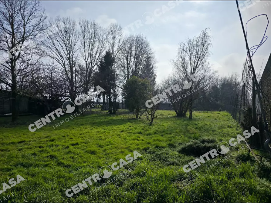 Immagine 2 di Terreno in vendita  a Legnago
