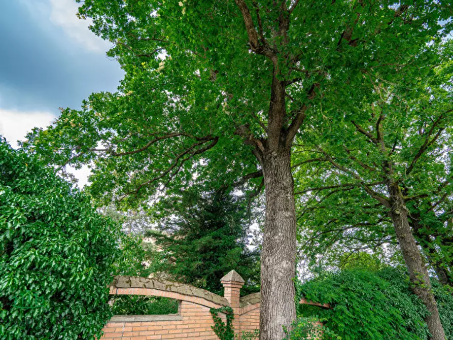 Immagine 5 di Casa bifamiliare in vendita  in via Larghe a Granarolo Dell'emilia