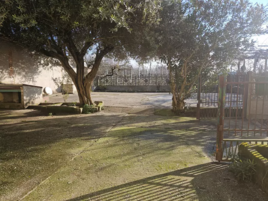 Immagine 17 di Villetta a schiera in affitto  in Via Bosco Crosara a Monselice