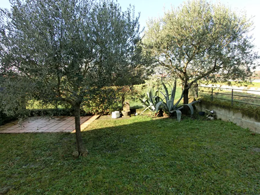 Immagine 21 di Appartamento in vendita  a Salzano