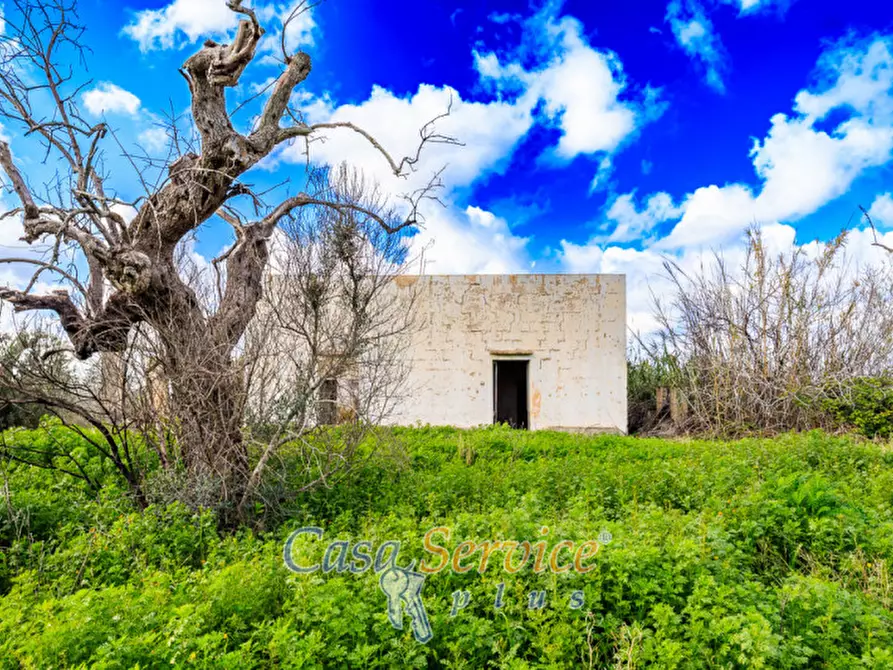 Immagine 2 di Terreno in vendita  in Via Carlo Antonio Coppola a Alezio