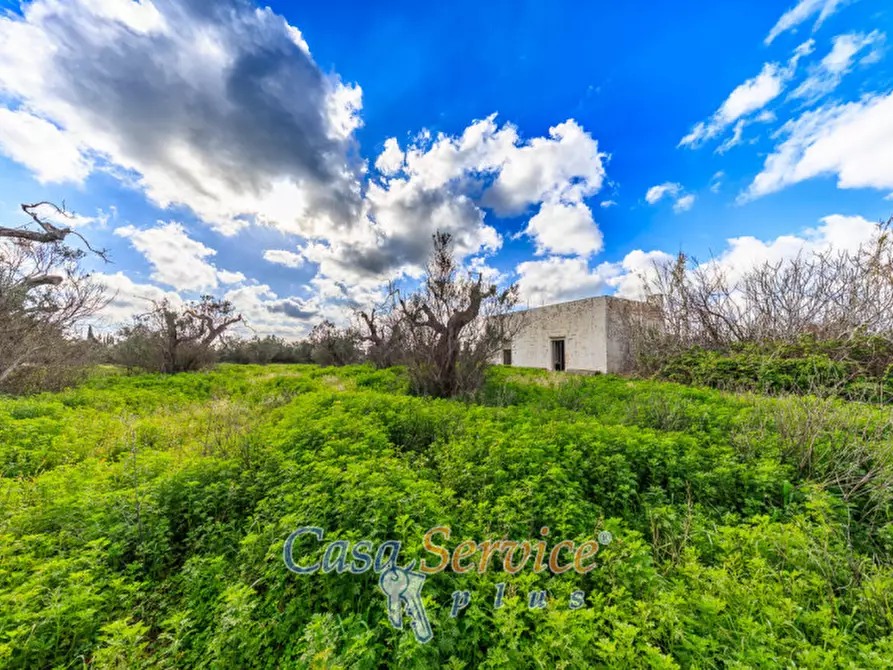 Immagine 3 di Terreno in vendita  in Via Carlo Antonio Coppola a Alezio