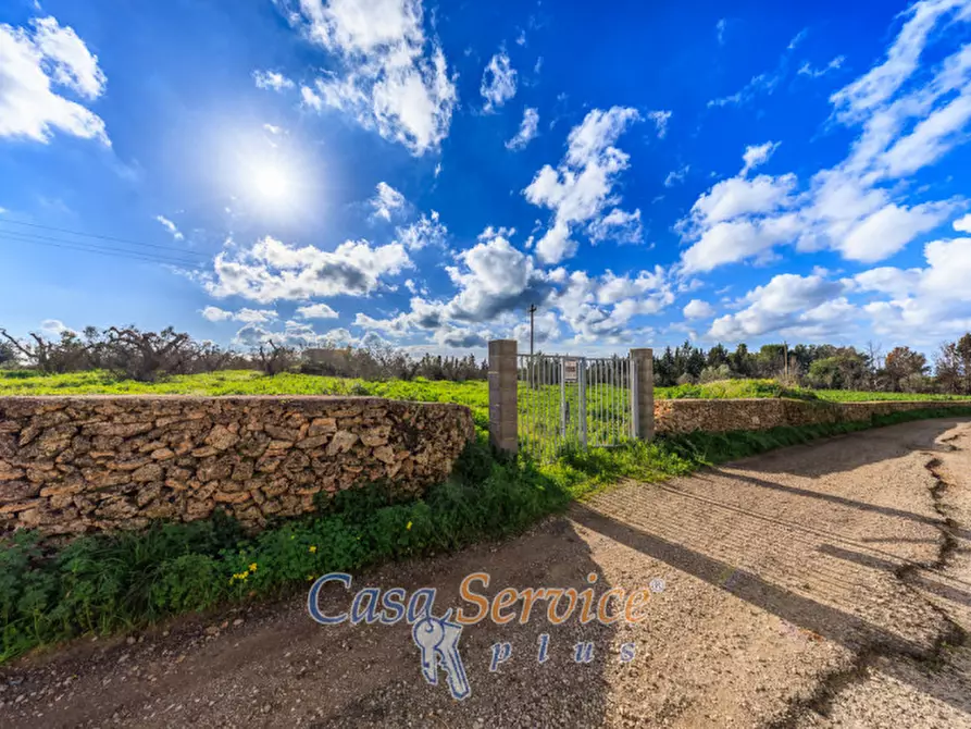 Immagine 6 di Terreno in vendita  in Via Carlo Antonio Coppola a Alezio