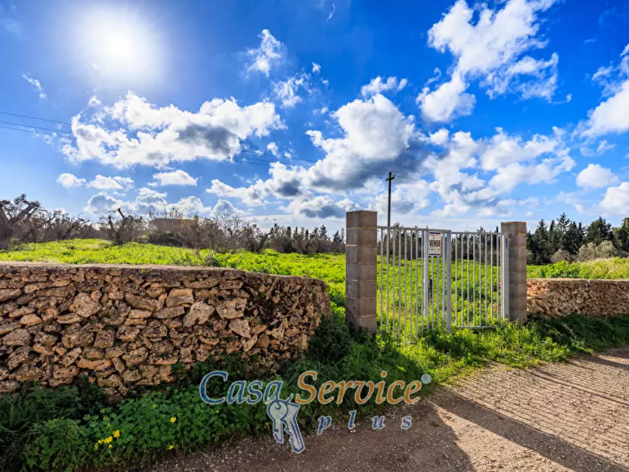 Immagine 7 di Terreno in vendita  in Via Carlo Antonio Coppola a Alezio