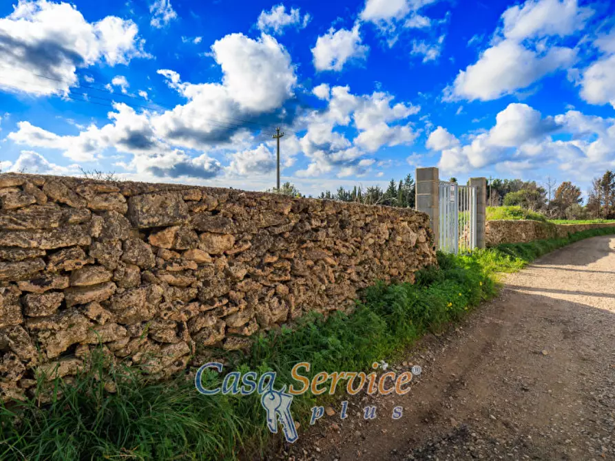 Immagine 8 di Terreno in vendita  in Via Carlo Antonio Coppola a Alezio