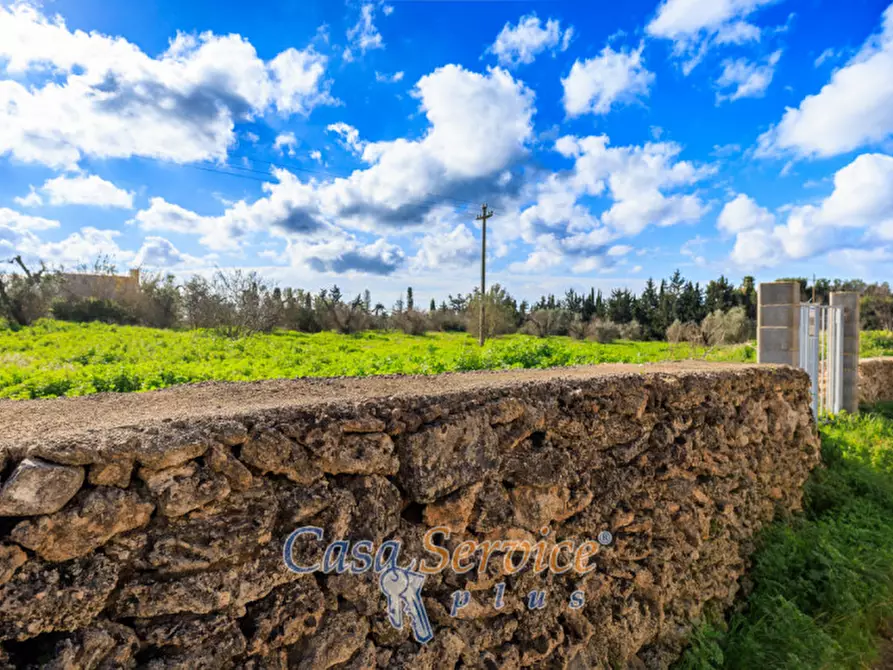 Immagine 9 di Terreno in vendita  in Via Carlo Antonio Coppola a Alezio