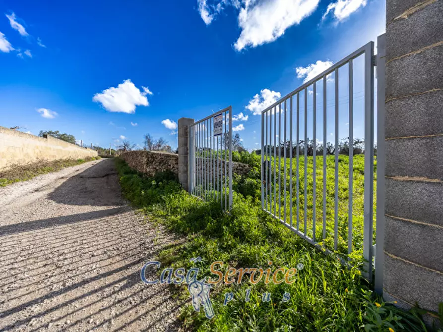 Immagine 11 di Terreno in vendita  in Via Carlo Antonio Coppola a Alezio