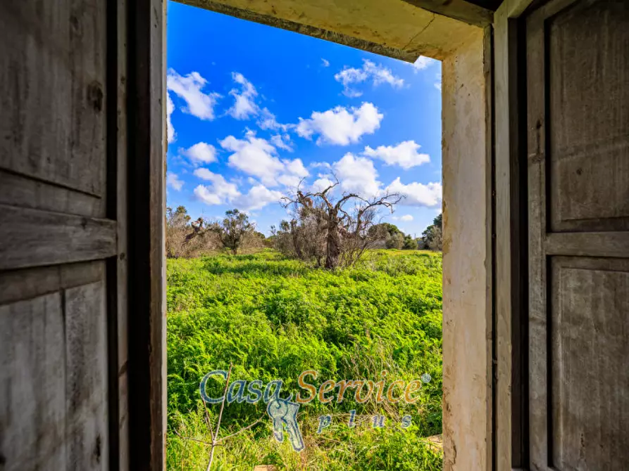 Immagine 19 di Terreno in vendita  in Via Carlo Antonio Coppola a Alezio