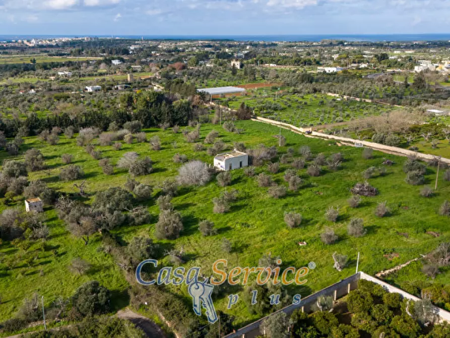 Immagine 24 di Terreno in vendita  in Via Carlo Antonio Coppola a Alezio