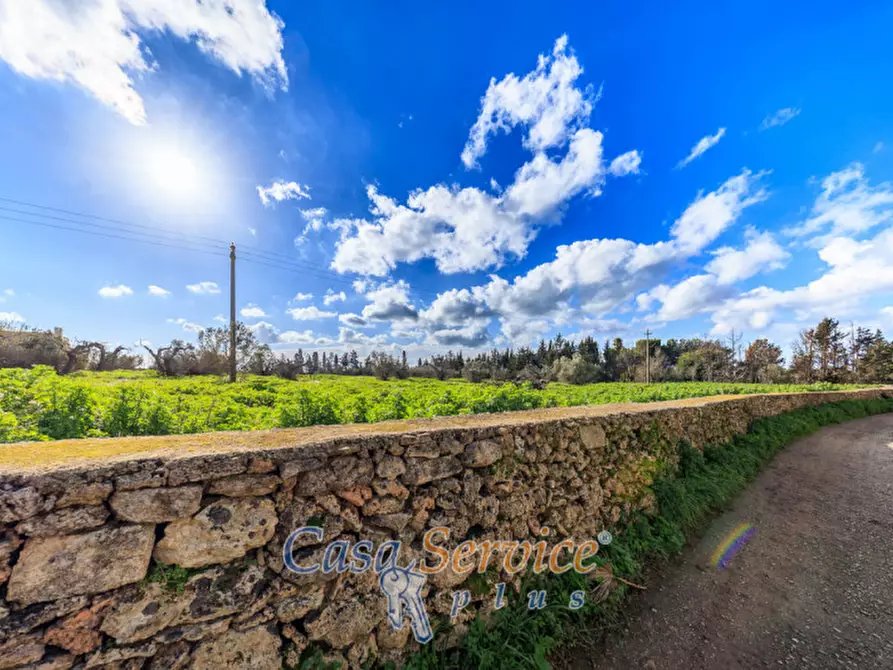Immagine 27 di Terreno in vendita  in Via Carlo Antonio Coppola a Alezio