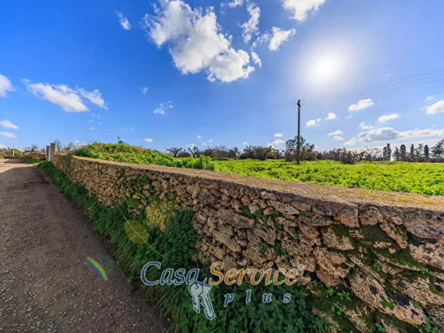 Immagine 28 di Terreno in vendita  in Via Carlo Antonio Coppola a Alezio
