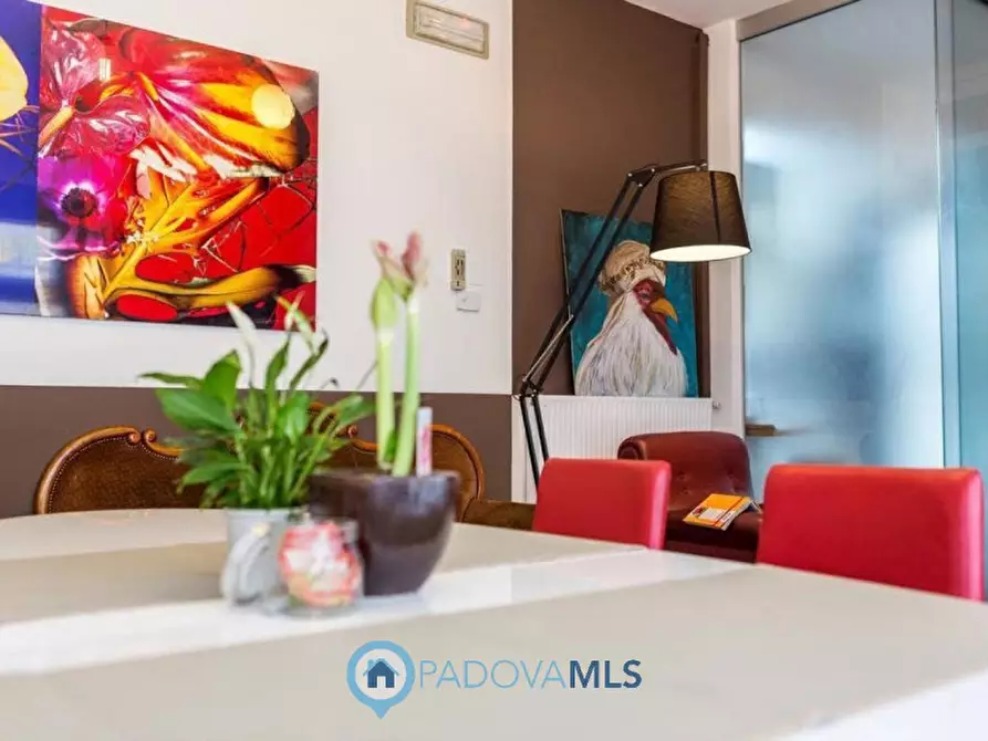 Immagine 2 di Casa indipendente in vendita  a Padova