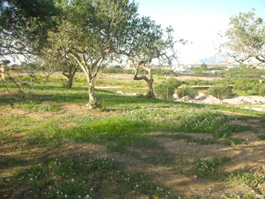 Immagine 2 di Terreno in vendita  in Contrada Cutusio, 91025 Marsala TP, Italia a Marsala