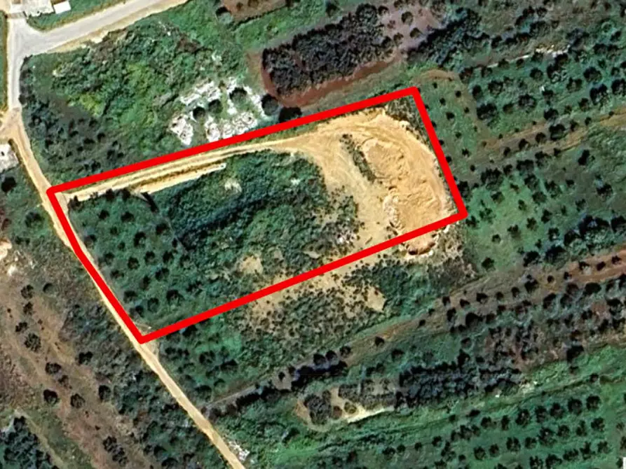 Immagine 6 di Terreno in vendita  in Contrada Cutusio, 91025 Marsala TP, Italia a Marsala