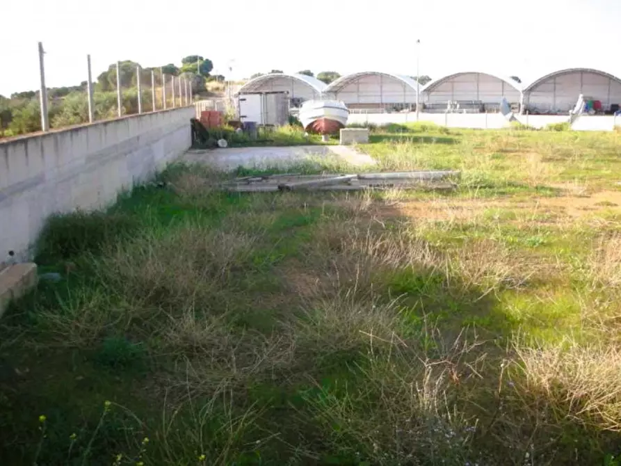 Immagine 3 di Terreno in vendita  in Contrada Cutusio, 91025 Marsala TP, Italia a Marsala