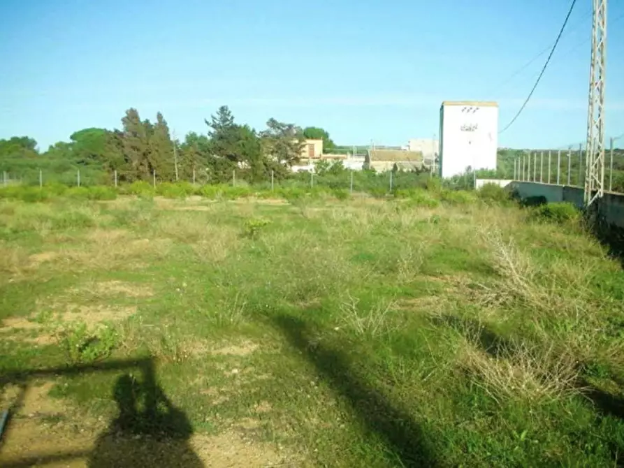 Immagine 4 di Terreno in vendita  in Contrada Cutusio, 91025 Marsala TP, Italia a Marsala