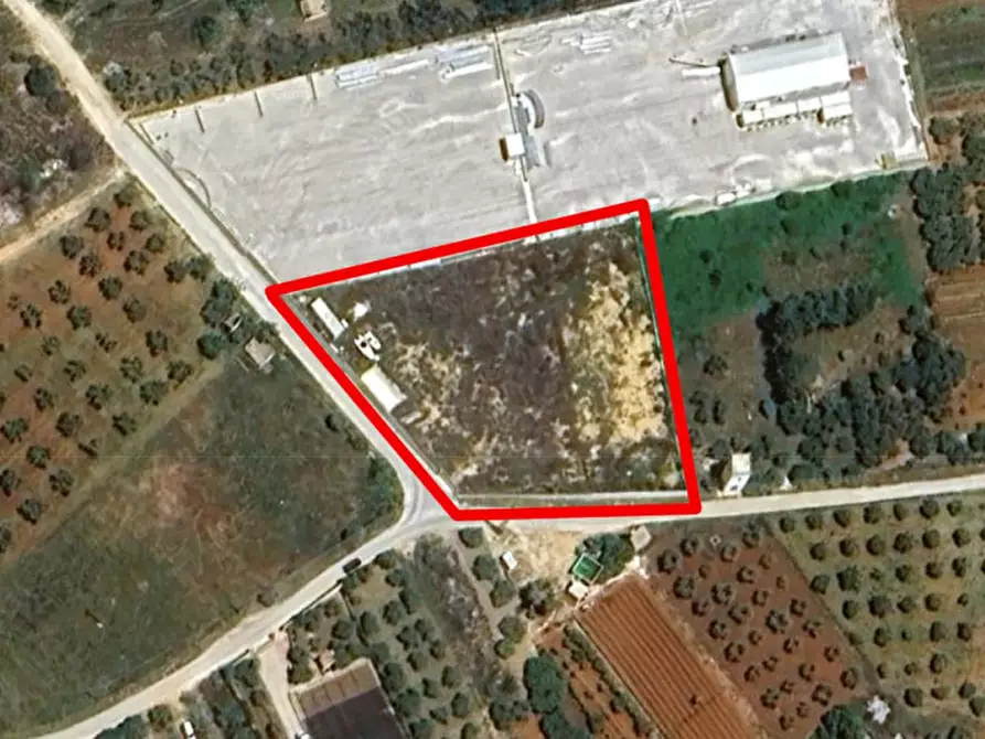 Immagine 6 di Terreno in vendita  in Contrada Cutusio, 91025 Marsala TP, Italia a Marsala