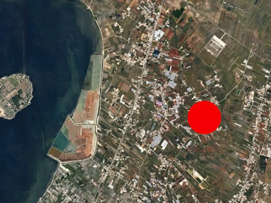 Immagine 9 di Terreno in vendita  in Contrada Cutusio, 91025 Marsala TP, Italia a Marsala