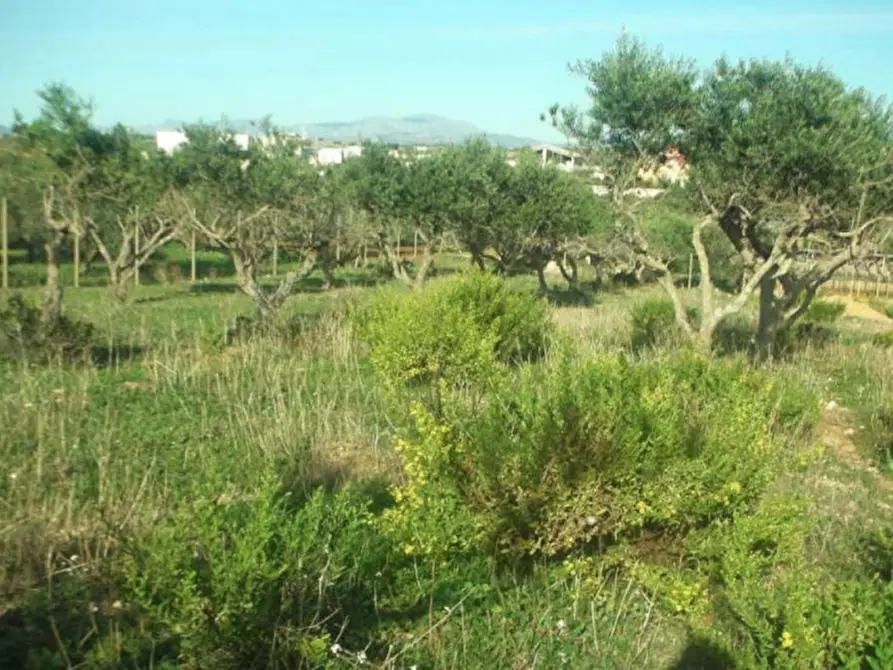 Immagine 1 di Terreno in vendita  in Contrada Cutusio, 91025 Marsala TP, Italia a Marsala
