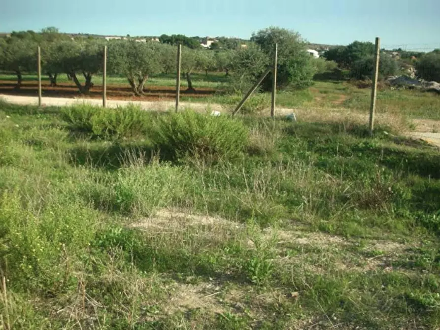 Immagine 4 di Terreno in vendita  in Contrada Cutusio, 91025 Marsala TP, Italia a Marsala