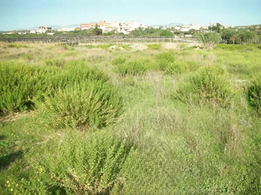 Immagine 5 di Terreno in vendita  in Contrada Cutusio, 91025 Marsala TP, Italia a Marsala