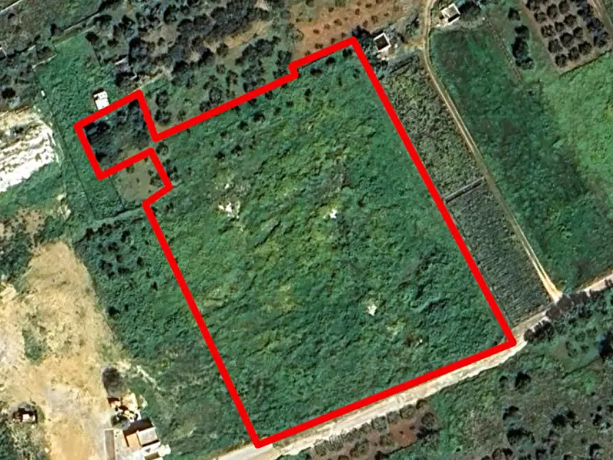 Immagine 6 di Terreno in vendita  in Contrada Cutusio, 91025 Marsala TP, Italia a Marsala