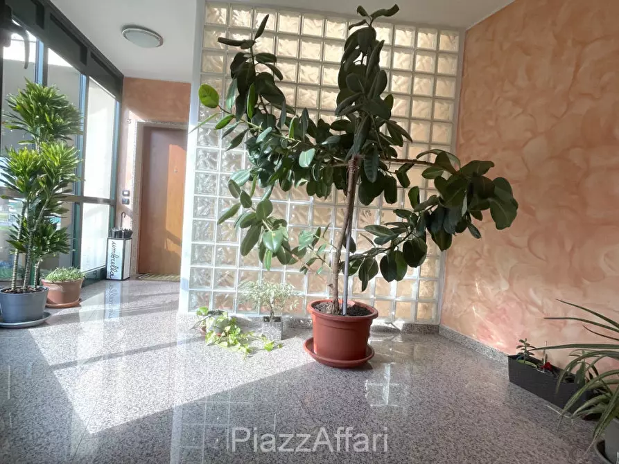 Immagine 5 di Appartamento in vendita  in Via Borgo Padova a Piove Di Sacco