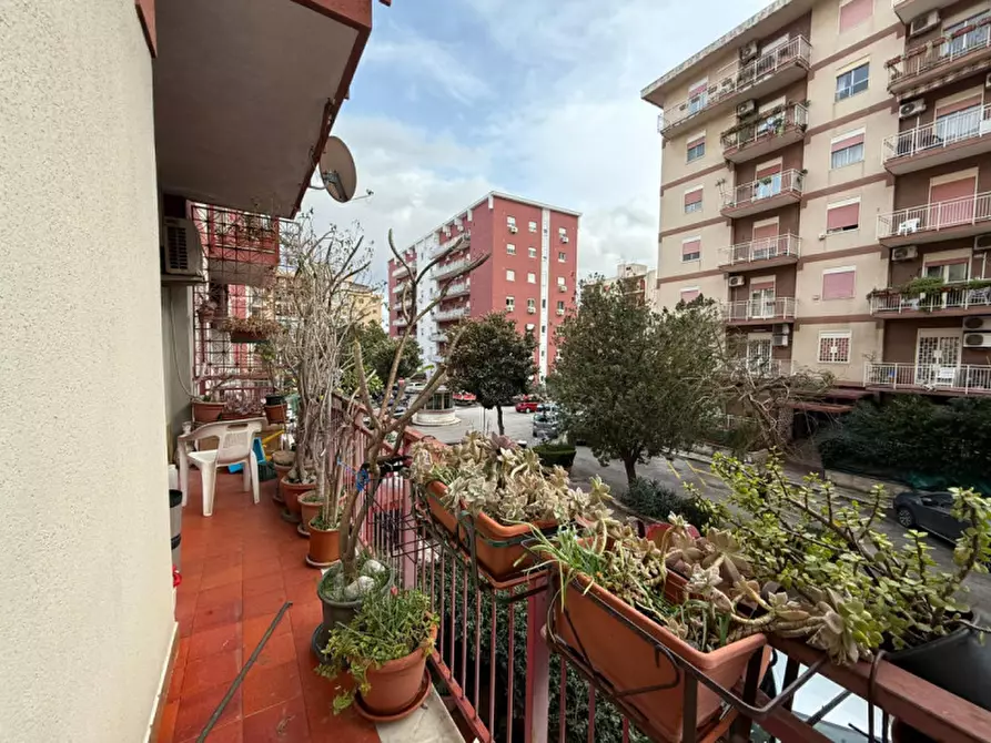 Immagine 14 di Appartamento in vendita  in Via Vincenzo Petrigni 11 a Palermo