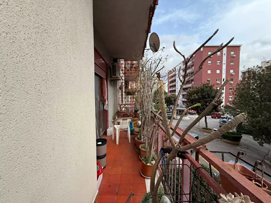 Immagine 15 di Appartamento in vendita  in Via Vincenzo Petrigni 11 a Palermo