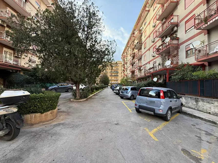 Immagine 19 di Appartamento in vendita  in Via Vincenzo Petrigni 11 a Palermo