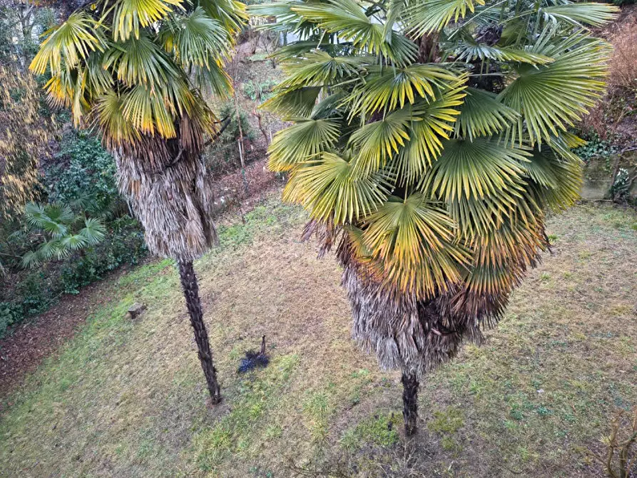 Immagine 59 di Appartamento in vendita  in VIA AUBERT 37 a Pino Torinese