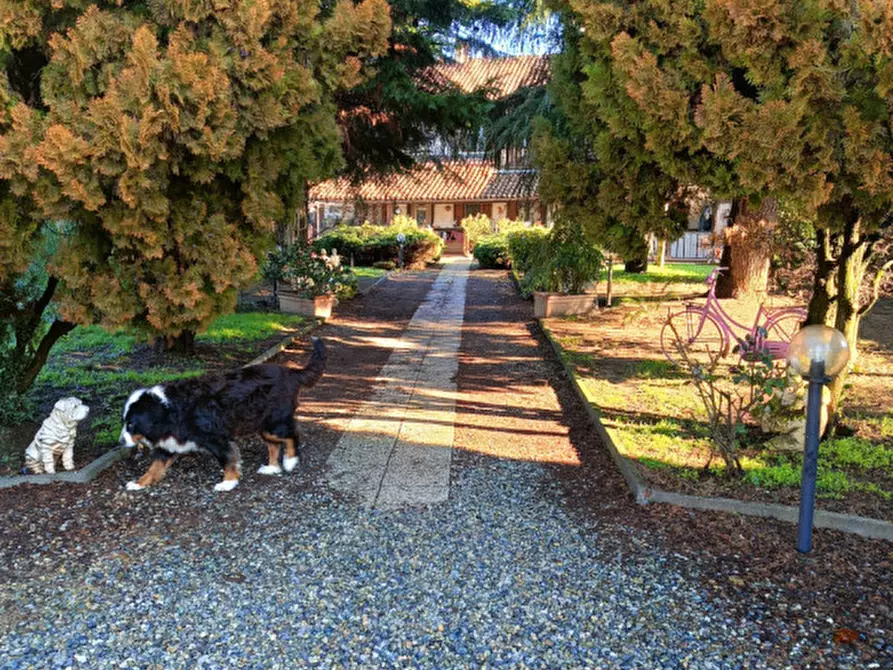 Immagine 3 di Casa indipendente in vendita  in Via Deambrogio 11 a Motta De' Conti