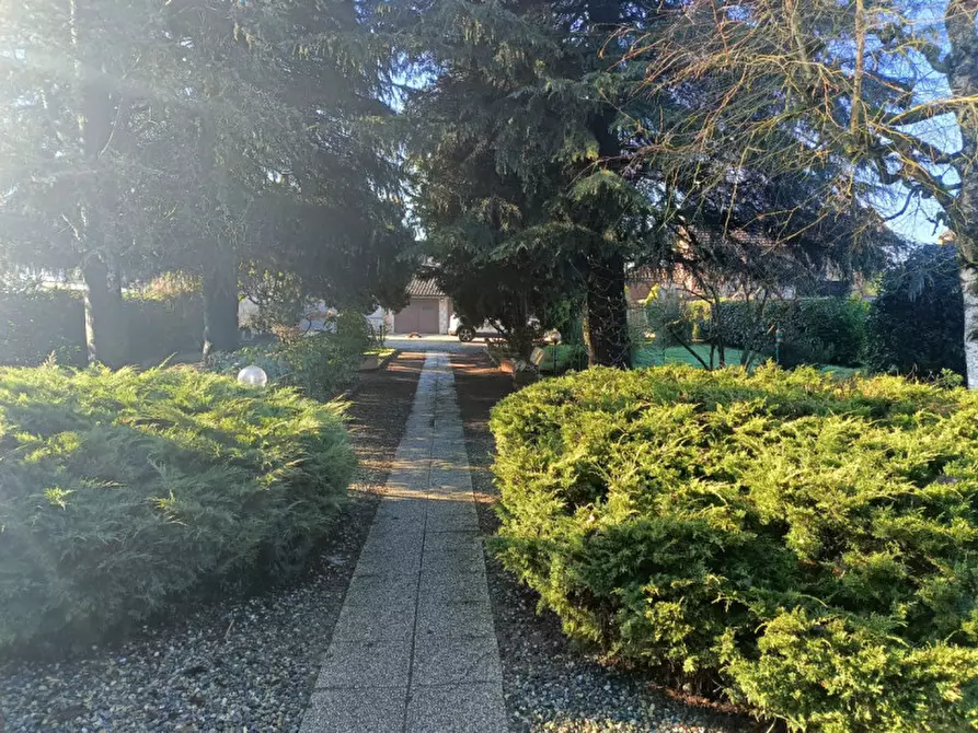 Immagine 21 di Casa indipendente in vendita  in Via Deambrogio 11 a Motta De' Conti