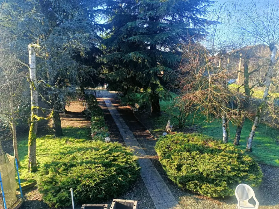 Immagine 22 di Casa indipendente in vendita  in Via Deambrogio 11 a Motta De' Conti