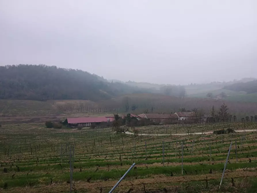 Immagine 1 di Rustico / casale in vendita  in CASCINA POZZANO 7/8 a Rosignano Monferrato