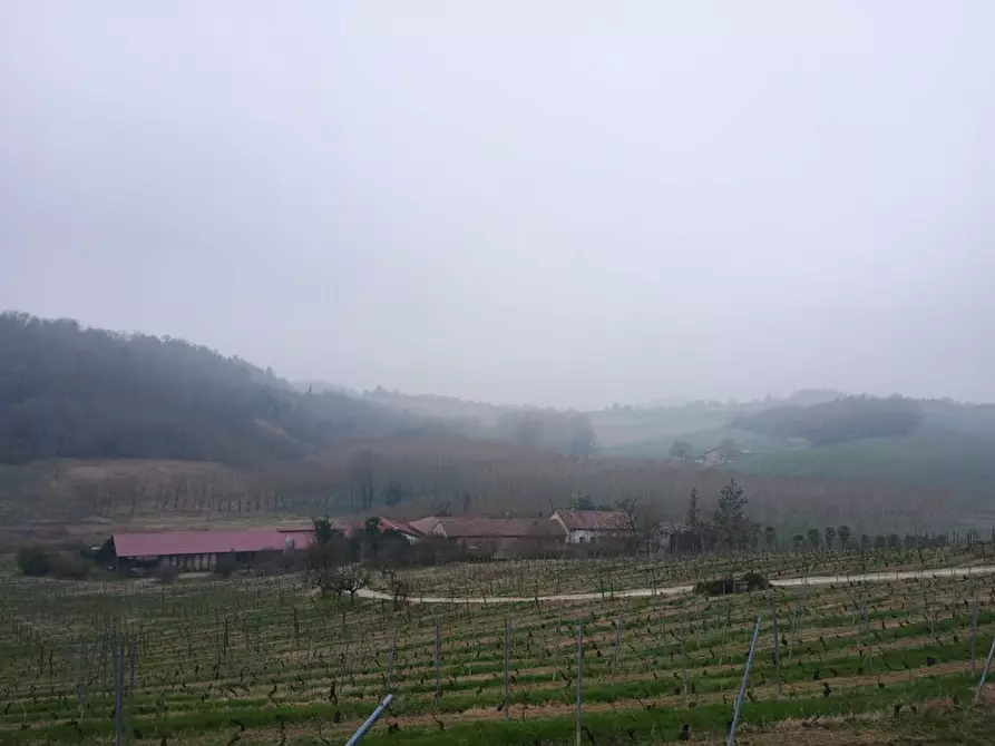 Immagine 2 di Rustico / casale in vendita  in CASCINA POZZANO 7/8 a Rosignano Monferrato