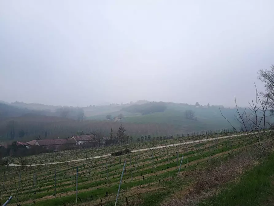 Immagine 3 di Rustico / casale in vendita  in CASCINA POZZANO 7/8 a Rosignano Monferrato