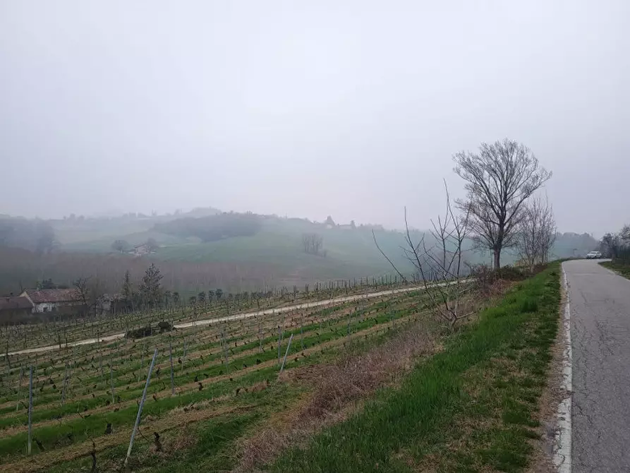 Immagine 5 di Rustico / casale in vendita  in CASCINA POZZANO 7/8 a Rosignano Monferrato