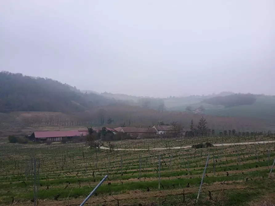 Immagine 6 di Rustico / casale in vendita  in CASCINA POZZANO 7/8 a Rosignano Monferrato