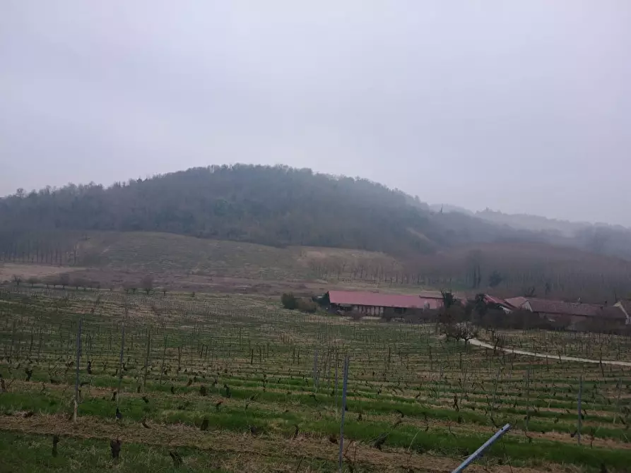 Immagine 7 di Rustico / casale in vendita  in CASCINA POZZANO 7/8 a Rosignano Monferrato