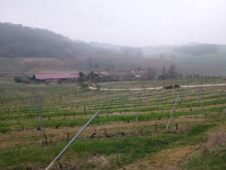 Immagine 9 di Rustico / casale in vendita  in CASCINA POZZANO 7/8 a Rosignano Monferrato