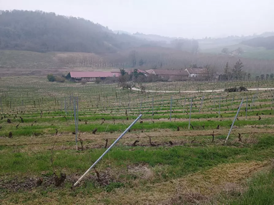 Immagine 10 di Rustico / casale in vendita  in CASCINA POZZANO 7/8 a Rosignano Monferrato